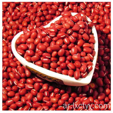 adzuki beans شريحة الشاي